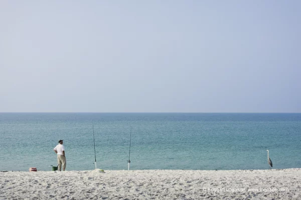 Man Fishing, Big Lagoon State Park 2006