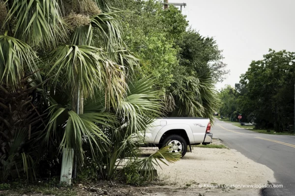 half a car hidden by trees