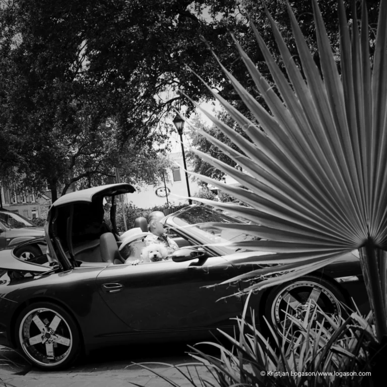 Dog in a convertible in Savannah, Georgia