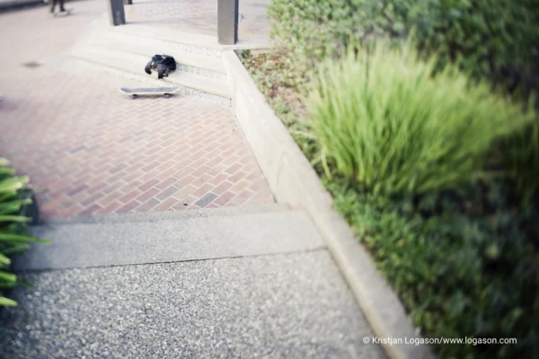 skateboard on a sidewalk in Sonoma, California
