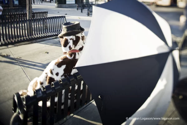 Man in a fluffy brown bear costume sitting on a park bench under a blue and white umbrella