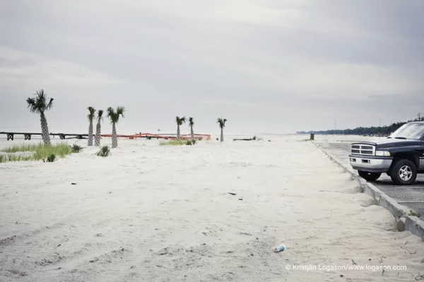 Palm trees on a white sand beach at Long beach, Louisiana